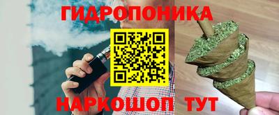 стаф Краснодар